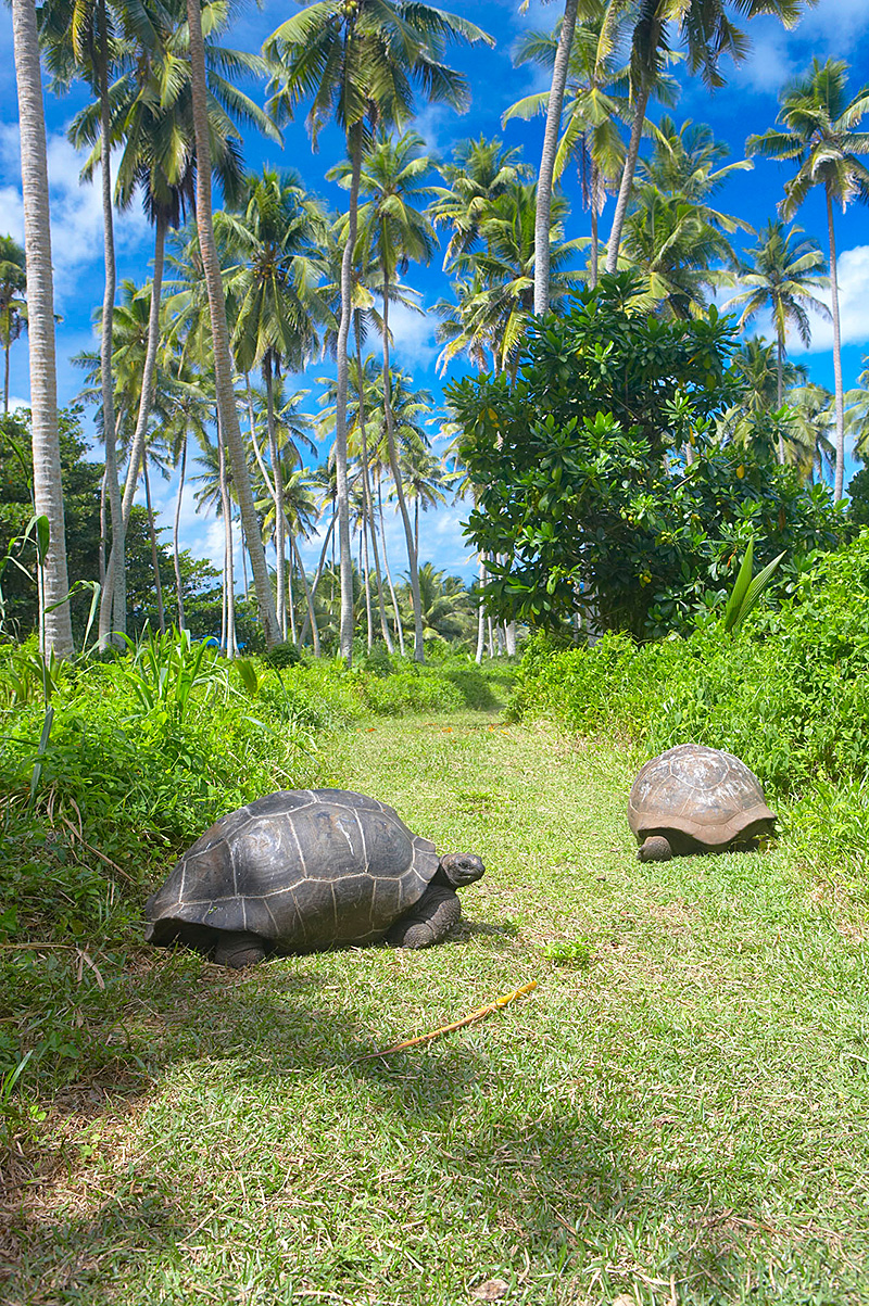 Fregate Island Private